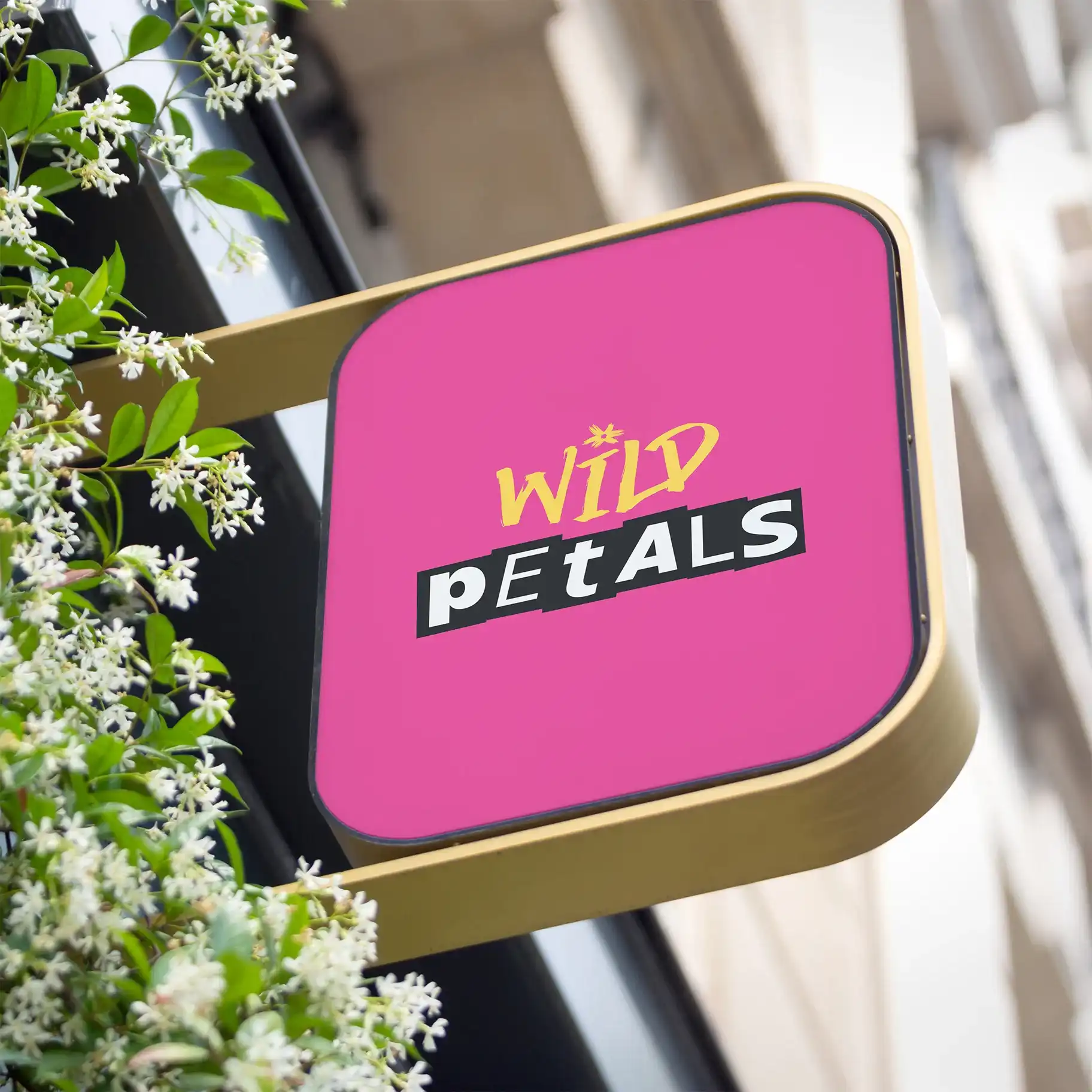 Wild Petals brief image 2